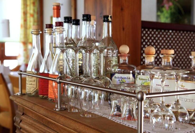 Maiers Johanniterbad Ringhotel Rottweil