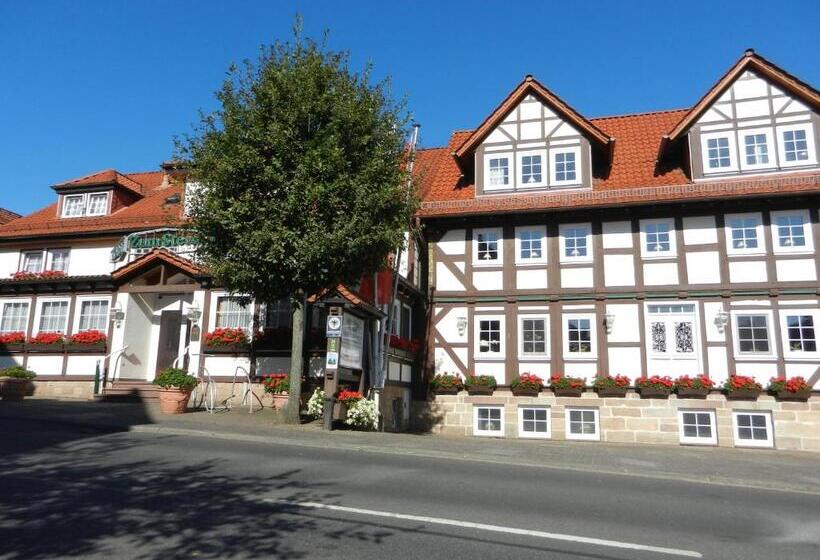 Parkhotel Zum Stern