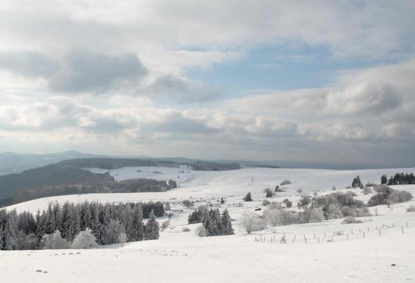 Rhönhotel Alte Mühle