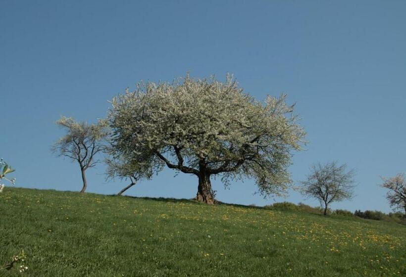 Rhönhotel Alte Mühle