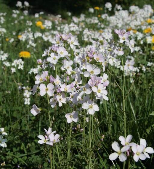 Rhönhotel Alte Mühle