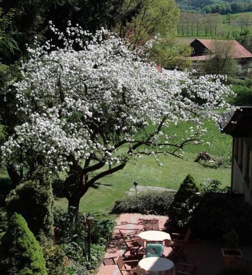 Rhönhotel Alte Mühle