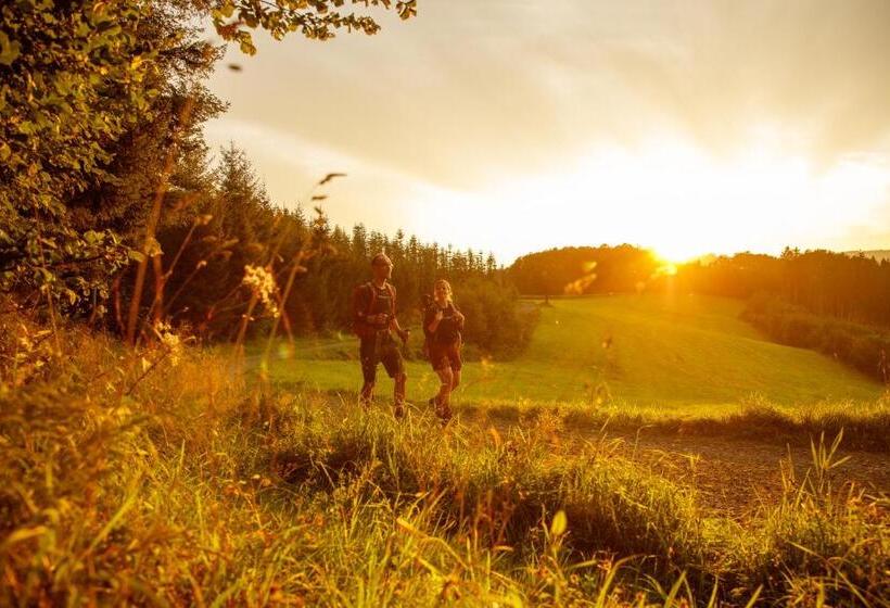 Romantikhotel Platte