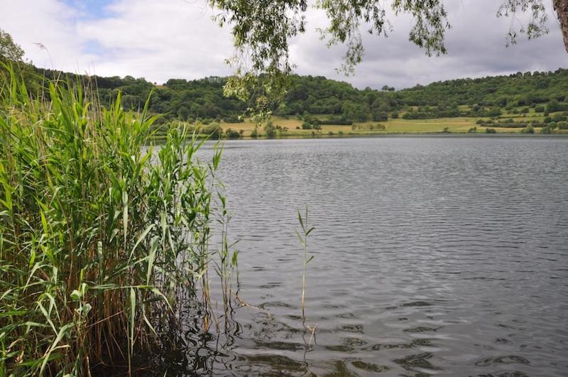 Schloßhotel Kurfürstliches Amtshaus Dauner Burg