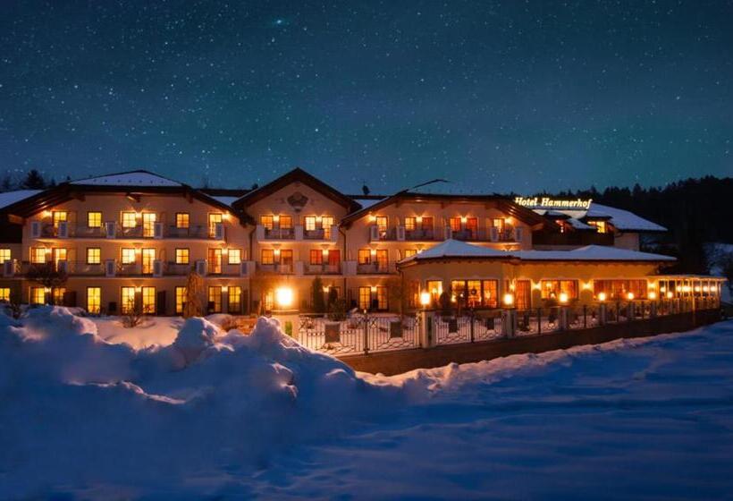 Aktiv Und Wohlfühlhotel Hammerhof