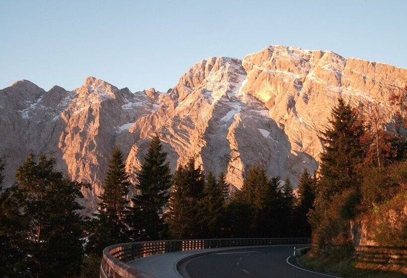 Alpen Hotel Seimler