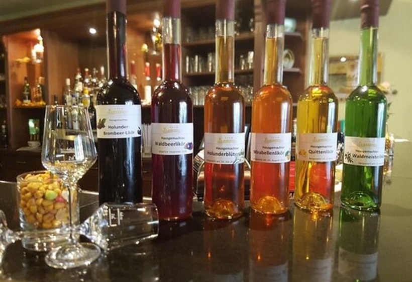 Elbhotel Bad Schandau