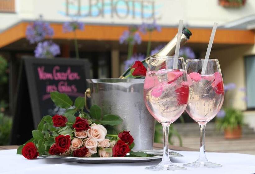 Elbhotel Bad Schandau