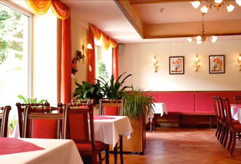 Elbhotel Bad Schandau