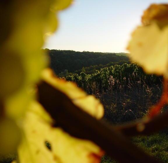 Akzent Hotel Franziskaner