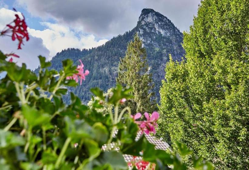 호텔 Zum Turm     Apartments Und Gästezimmer