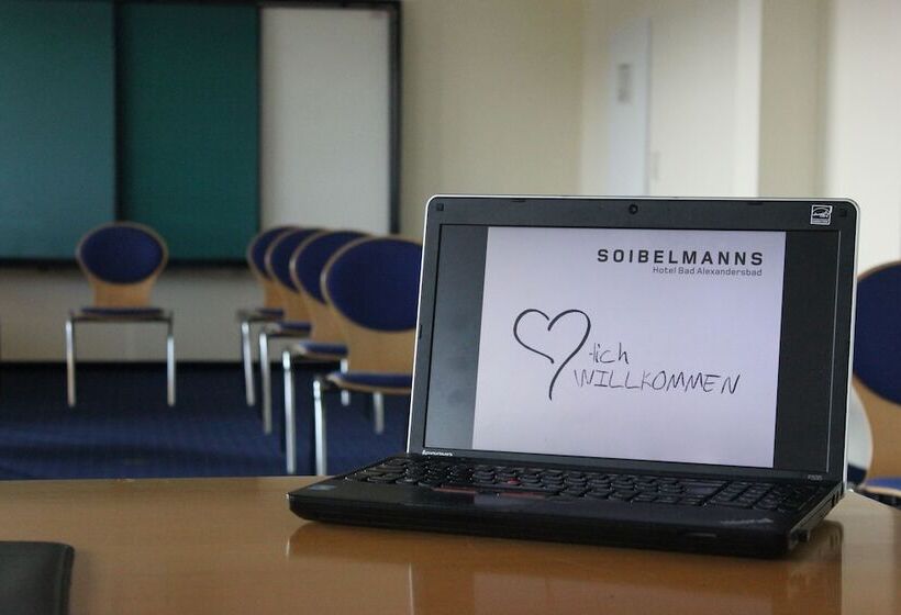 酒店 Alexandersbad