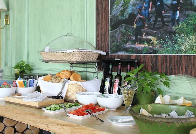 酒店 Alexandersbad