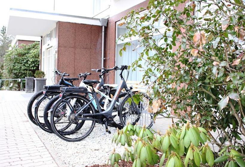 酒店 Alexandersbad