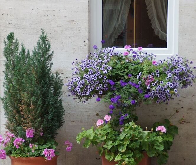 فندق Alfa City Centre