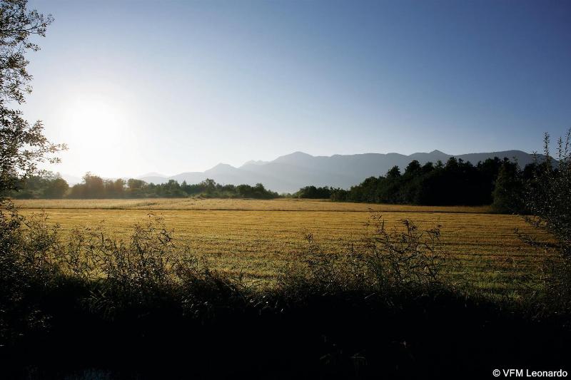 ホテル Alpenhof Murnau