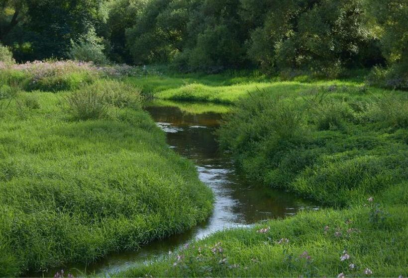 호텔 Am Regenbogen