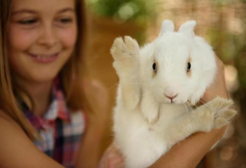 فندق Bavaria Bio