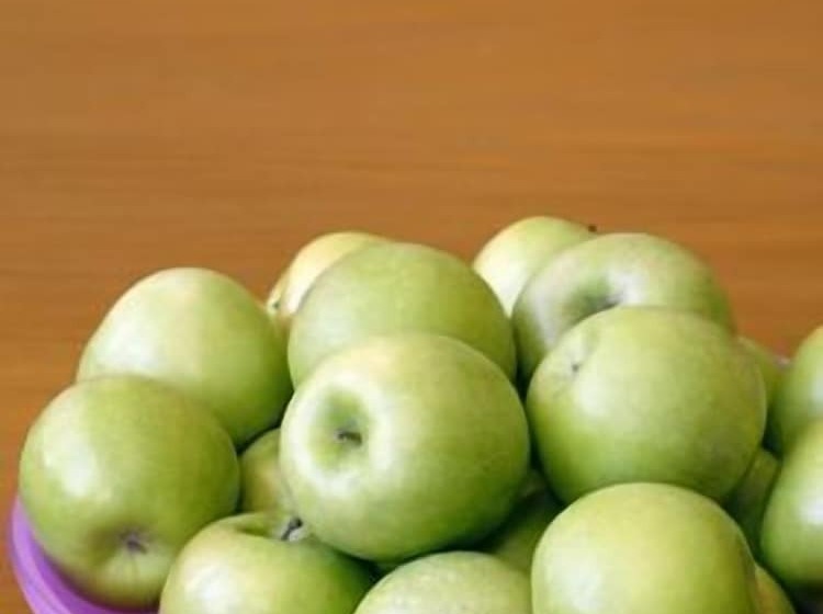 Business & Budget Hotel Tessin