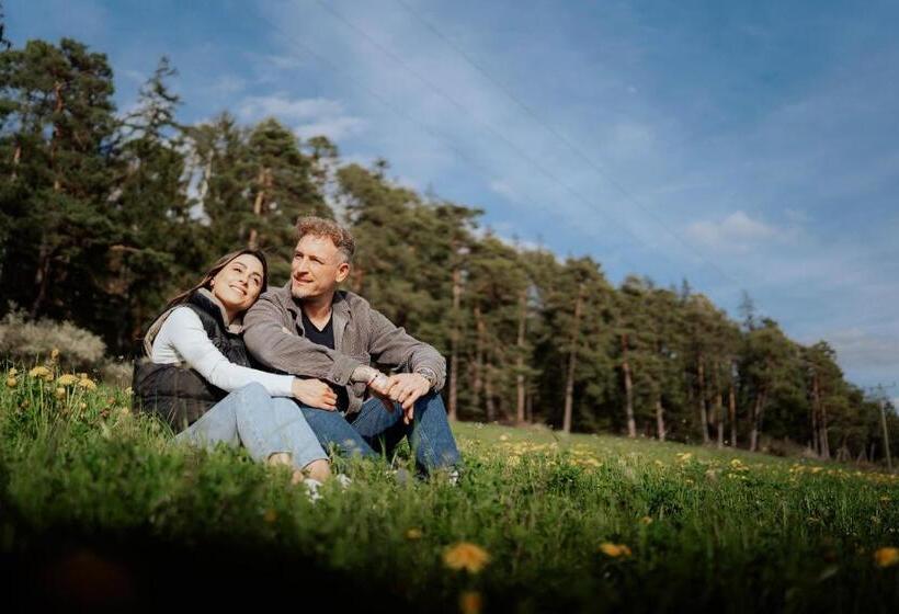 ホテル Dirsch Wellness & Spa Resort