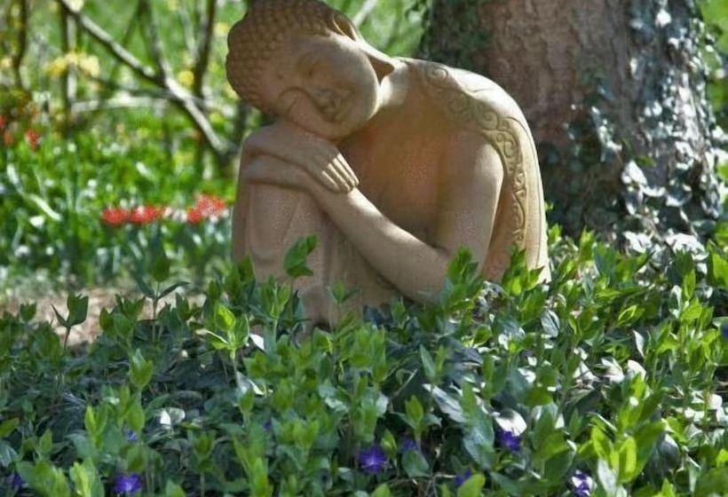 Отель Ebnet Garni