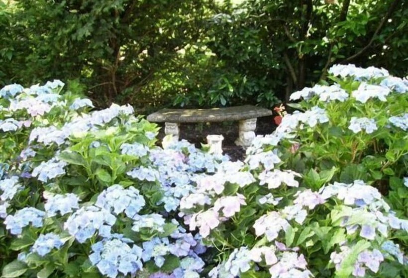 Отель Ebnet Garni