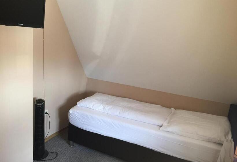 Отель Gasthof Alter Ritter