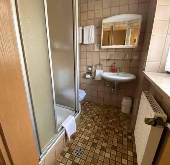 Отель Gasthof Alter Ritter