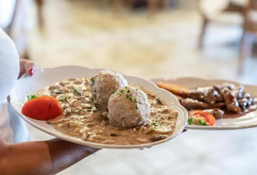 酒店 Gasthof Zum Dragoner