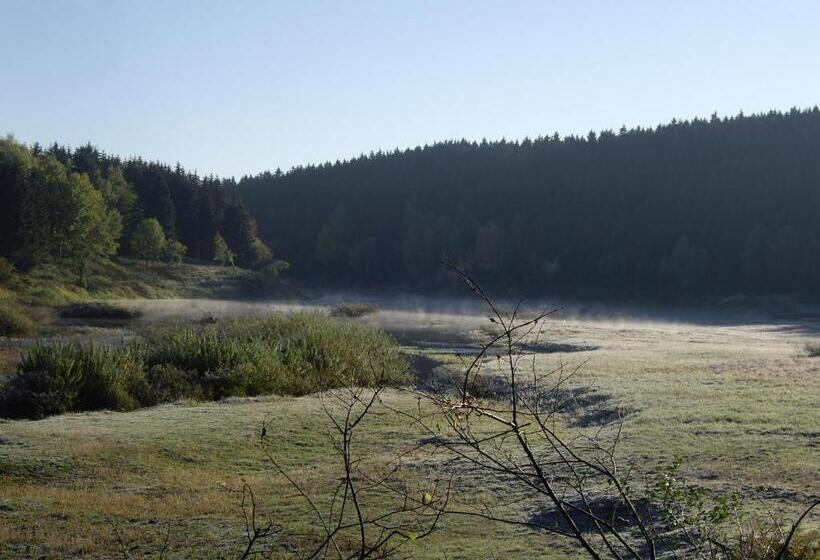 ホテル Grüne Tanne Mandelholz