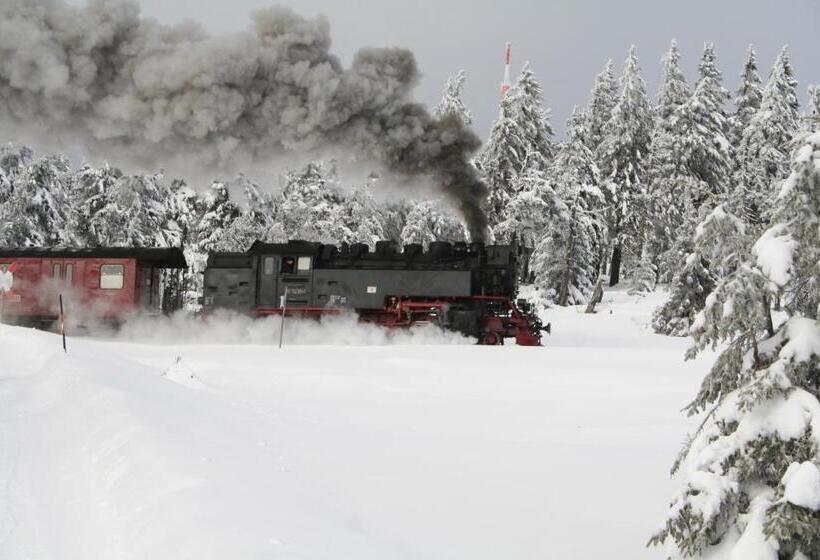 ホテル Grüne Tanne Mandelholz