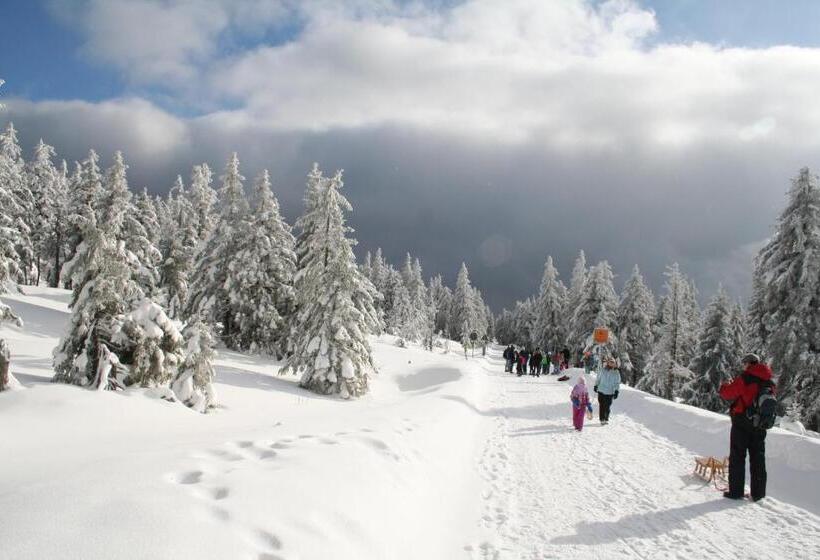 ホテル Grüne Tanne Mandelholz