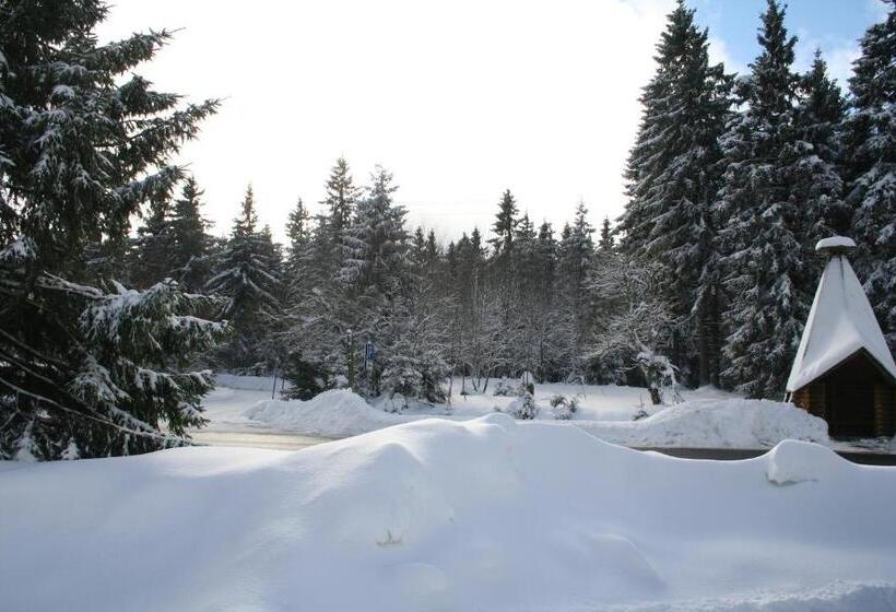 ホテル Grüne Tanne Mandelholz