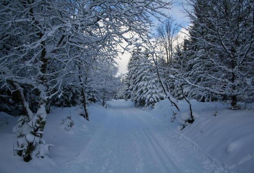 ホテル Grüne Tanne Mandelholz