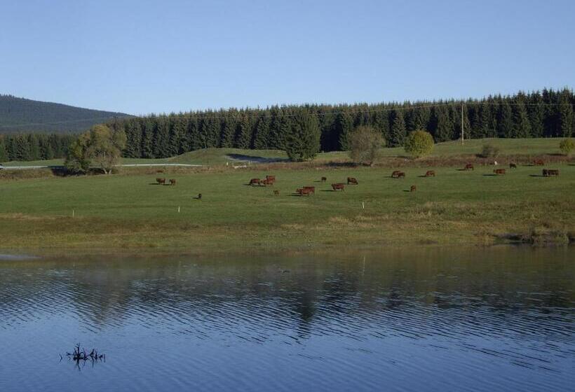 ホテル Grüne Tanne Mandelholz