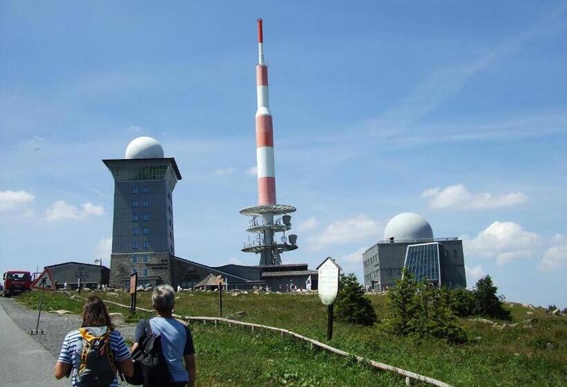 ホテル Grüne Tanne Mandelholz