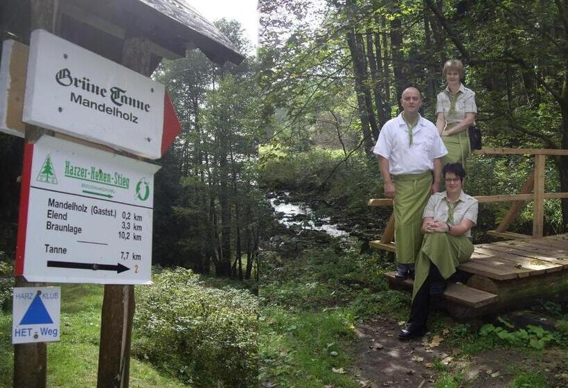 ホテル Grüne Tanne Mandelholz