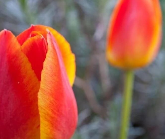 호텔 Lechnerhof Unterfohring