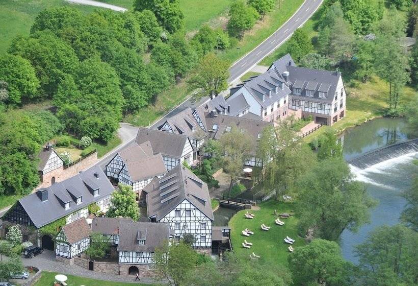 Отель Neumühle Resort & Spa