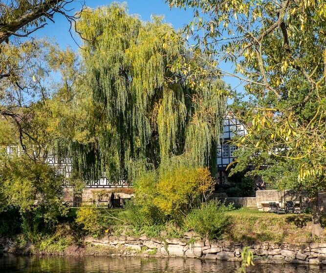 Отель Neumühle Resort & Spa