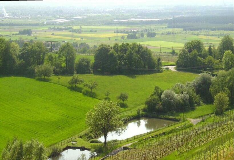 호텔 Panorama  Und Restaurant Schloßberg