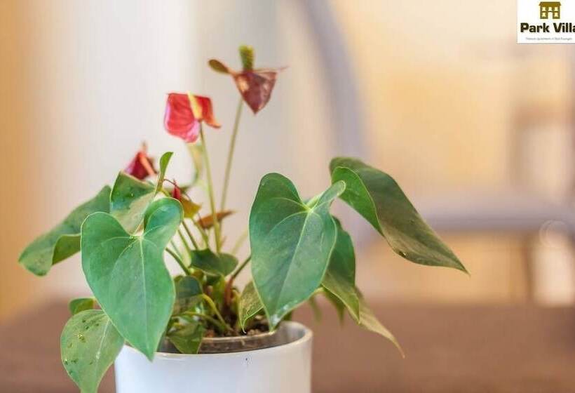 호텔 Park Villa Apartments