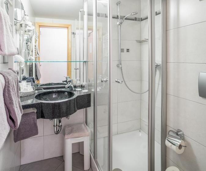 هتل Passauer Wolf