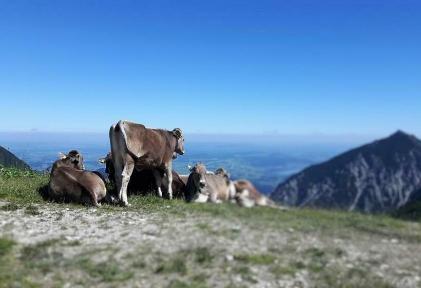 호텔 Pfeiffermühle