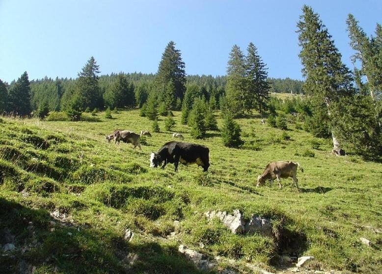 호텔 Pfeiffermühle