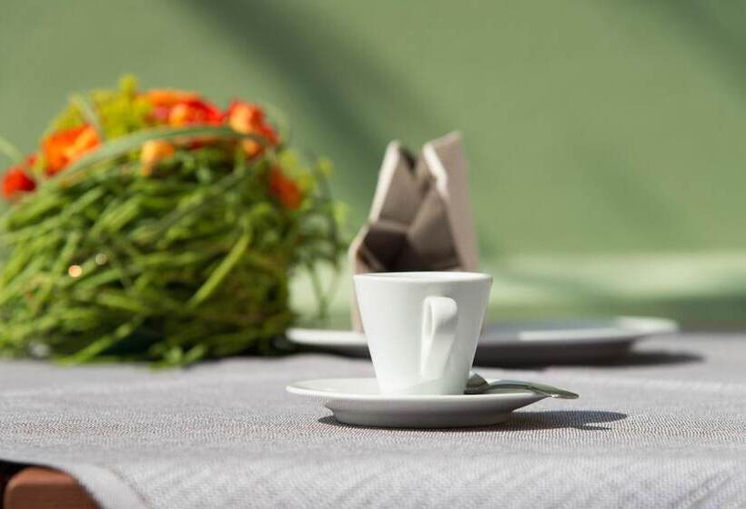 בית מלון כפרי Piazza