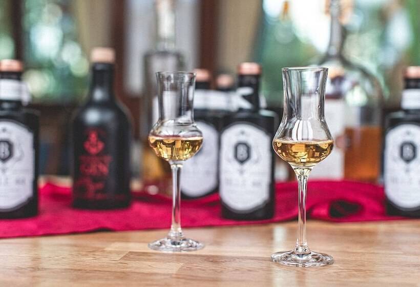 Plaza Hotel Buchhorner Hof