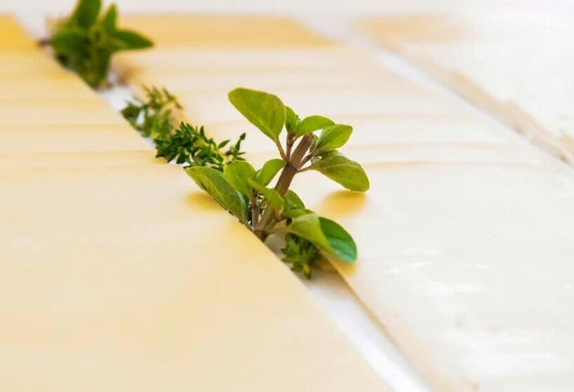 Отель Restaurant Spa Torkel