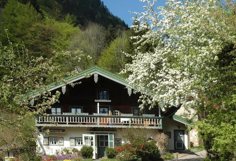 Отель Ruhpoldinger Hof