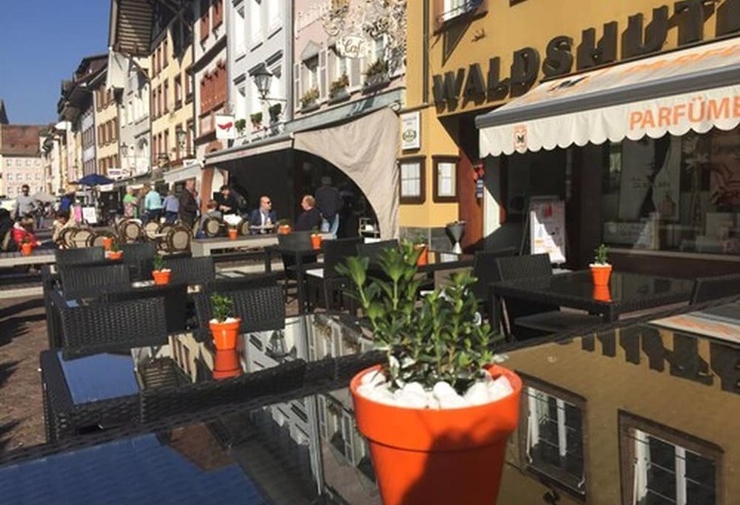 Отель Waldshuter Hof